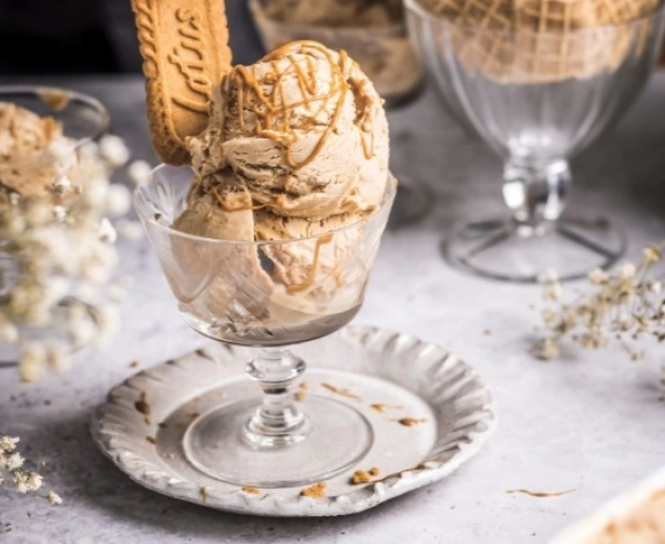 Cookie Butter Ice Cream