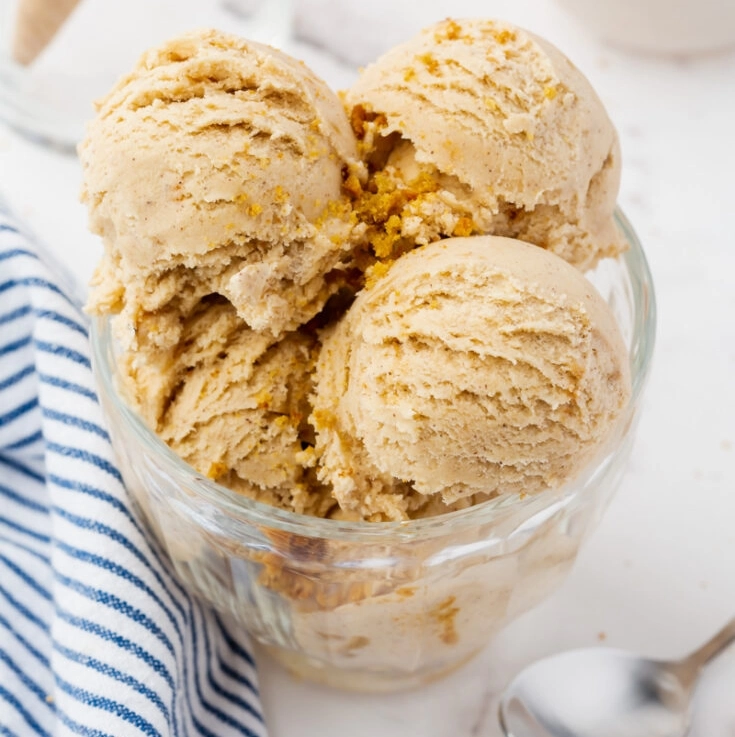 Cookie Butter Ice Cream