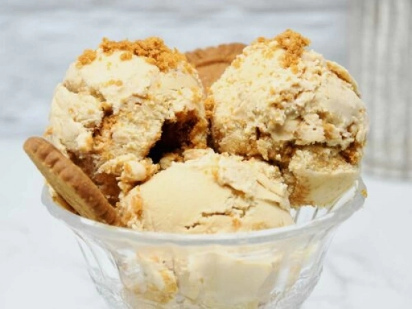 homemade cookie butter ice cream