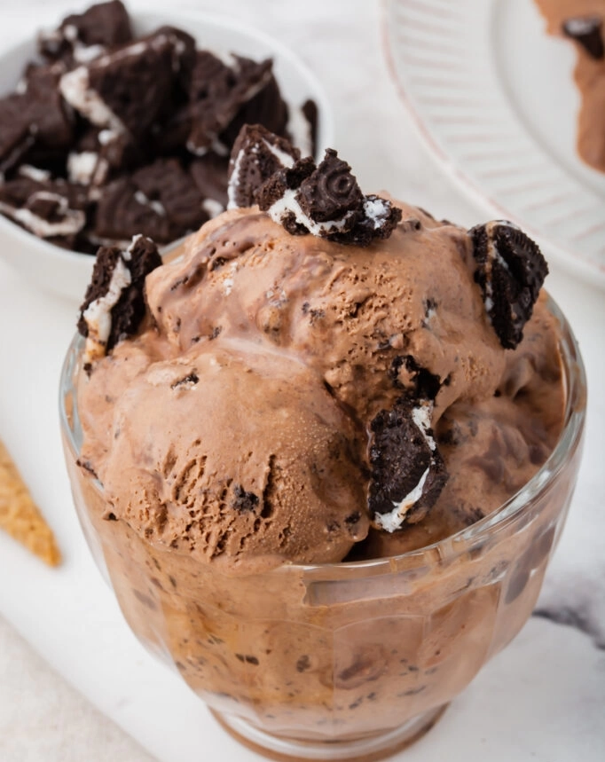 Mississippi Mud Ice Cream Recipe