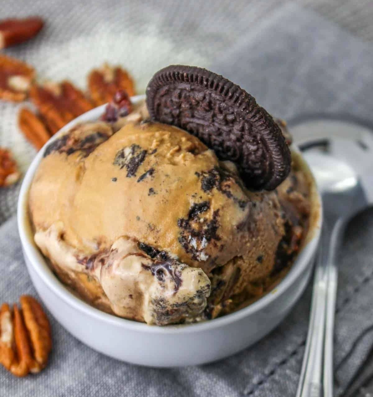 No Churn Mississippi Mud Ice Cream