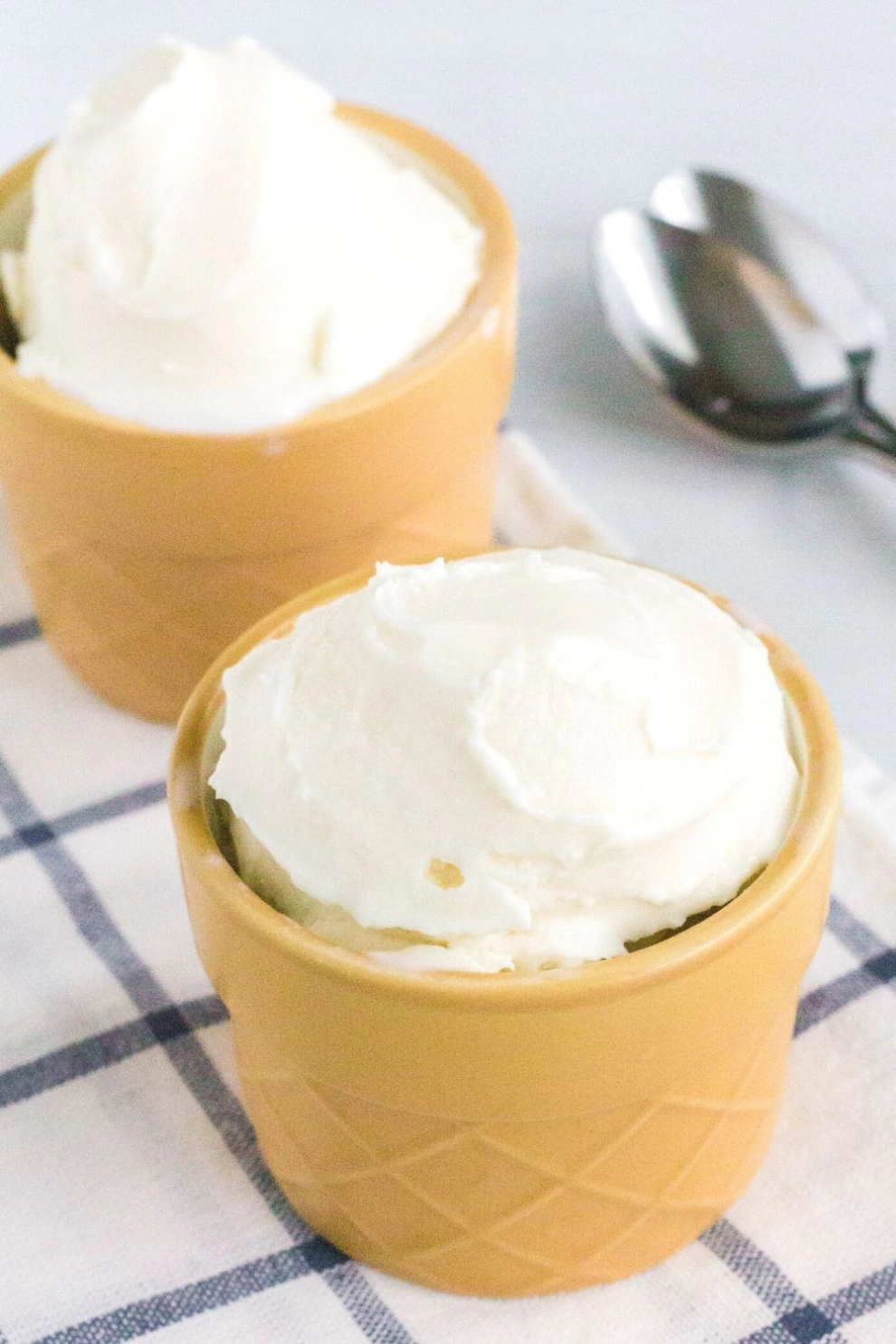 Ninja Creamy Vanilla Ice Cream Recipe
