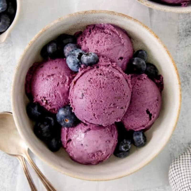 Ninja Creami Blueberry Ice Cream