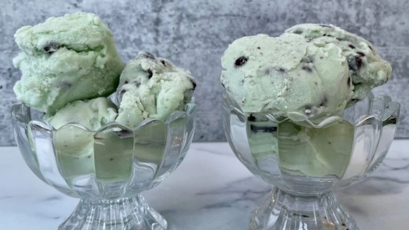 Ninja Creami Mint Chocolate Chip Ice Cream