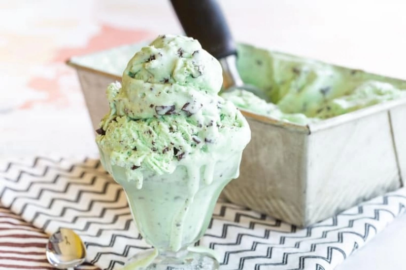 Mint Chocolate Chip Ice Cream Ninja Creami 