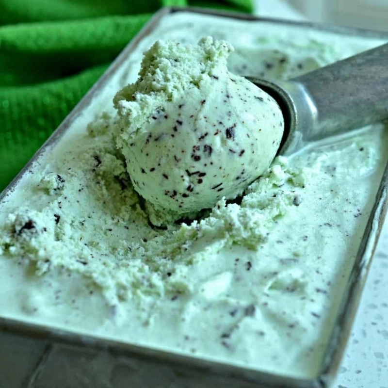 Mint Chocolate Chip ice cream recipe Ninja Creami