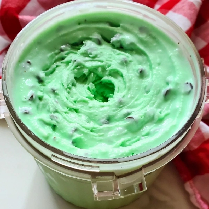 Mint Chocolate Chip ice cream