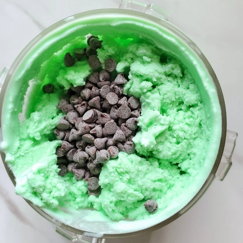 Ninja Creami Mint Chocolate Chip ice cream 