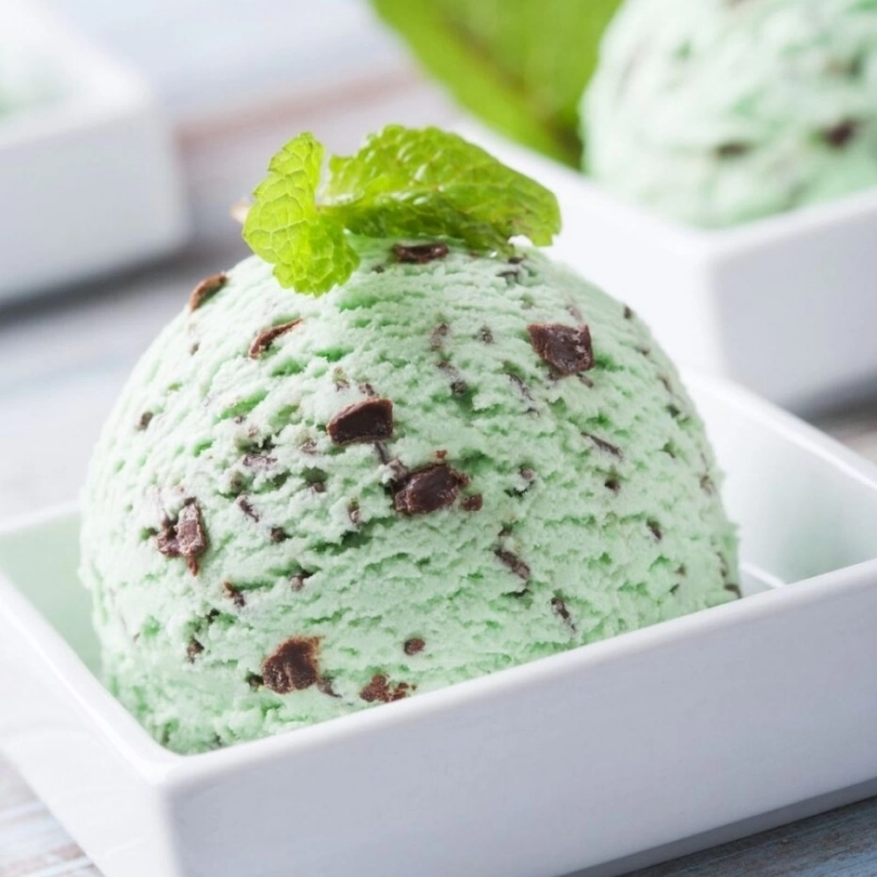 Ninja Creami Mint Chocolate chip ice cream recipe