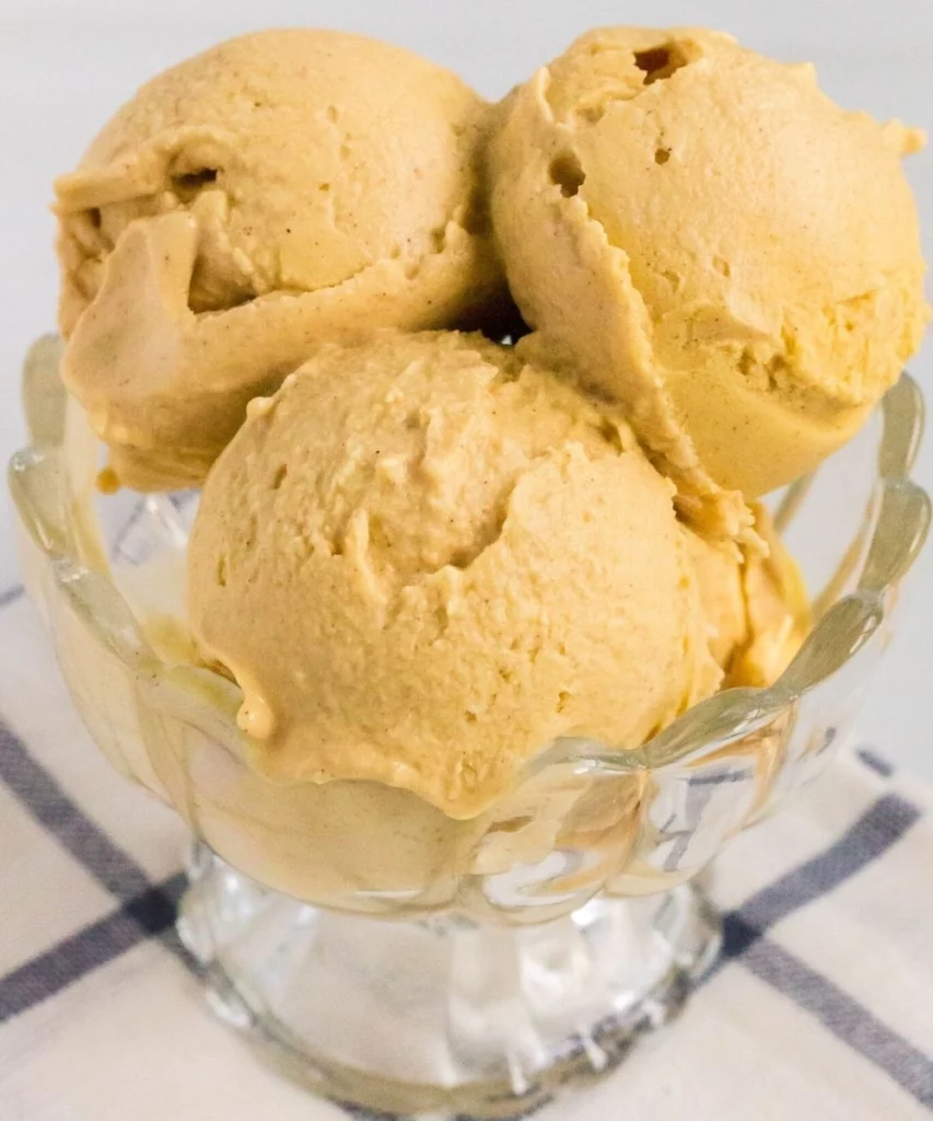 Ninja Creami Pumpkin Ice Cream