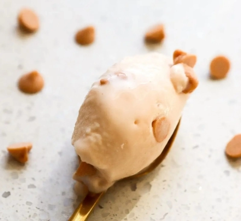 Ninja Creami Butterscotch Ice Cream recipe