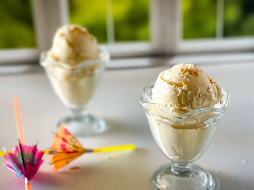 Ninja Creami Pina Colada Ice Cream