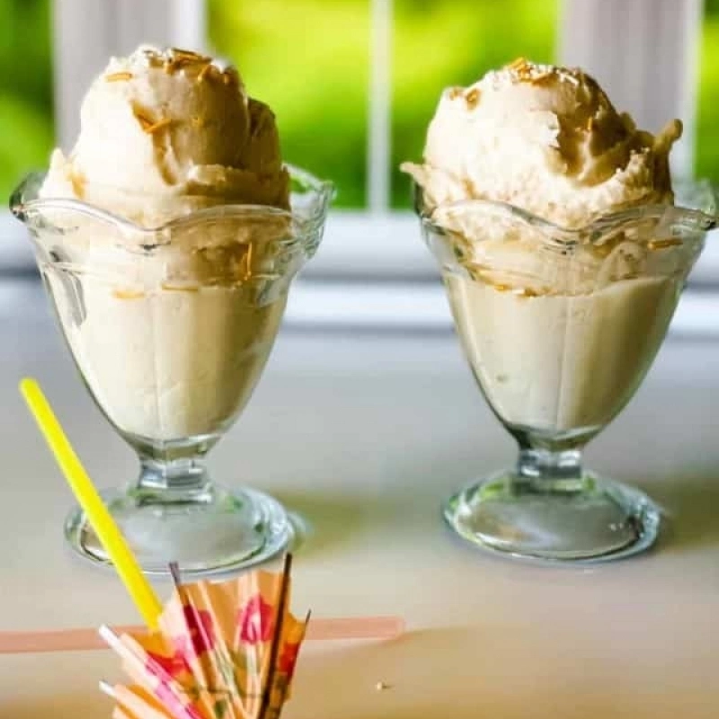 Pina Colada Ice Cream Ninja Creami Recipe